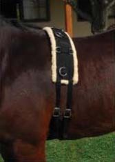Horse Surcingle
