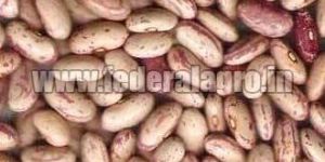 Speckled Kidney Beans