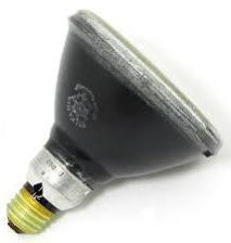 Mercury Spot Bulb