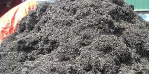 Mild Steel Turning Scrap