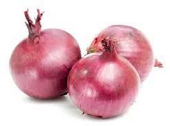 Fresh Onion