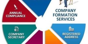 Company Formation Services
