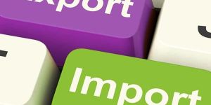 Import Export Code Services