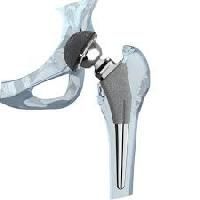 Hip Prosthesis