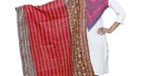 Ladies Border Shawls