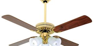 V Guard Ceiling Fan
