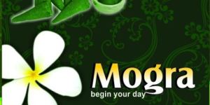 Perfumed Incense Cones