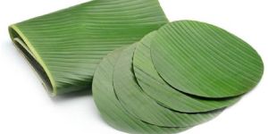 Banana Leaves