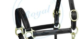 Horse Halter (2002)