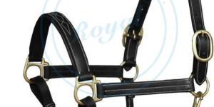 Horse Halter (2010)