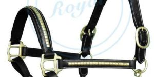 Horse Halter (2011)