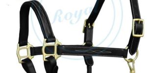 Horse Halter (2020)