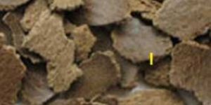 Deoiled Mustard Cake