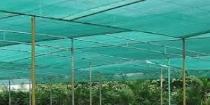 Agricultural Shade Nets