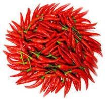 Fresh Red Chilli