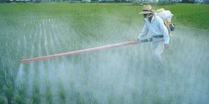 Agricultural Pesticides