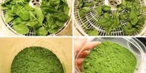 Dehydrated Spinach Powder
