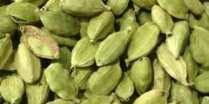 Green Cardamom