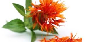 Safflower