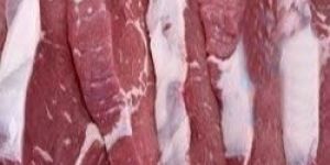 Frozen Boneless Buffalo Meat