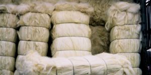 Natural Sisal Fiber