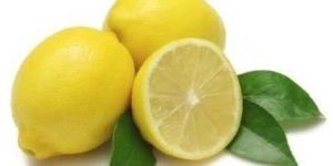 Fresh Lemon