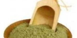 Keezhanelli Phyllanthus Niruri Herbal Powder