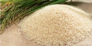 Sona Masuri Non Basmati Rice