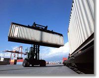 Custom Clearing Services