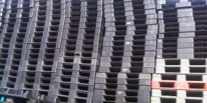 Plastic Pallets