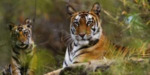 South India Tour Packages