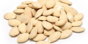 Pumpkin Seed