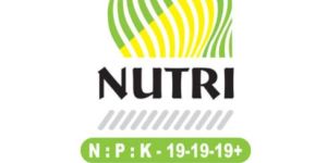 NPK Fertilizer
