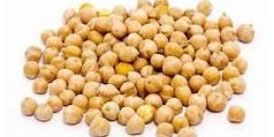 White Chickpeas