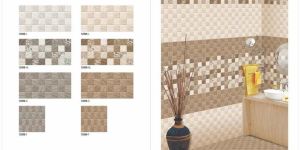 30x60 Cm Ceramic Tiles for Exports