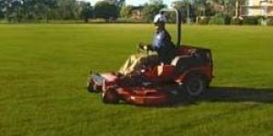 Lawn Maintenance Services