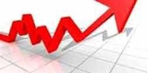 Share & Mutual Funds Consultancy