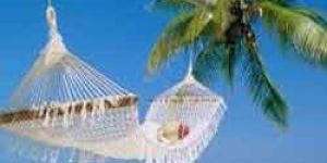 Tour & Travel Consultancy