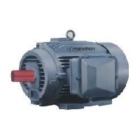 Industrial LT Motor