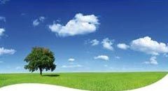 Environment Services