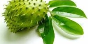 Soursop Fruit Juice
