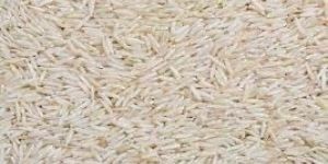 Basmati Rice