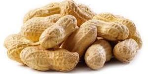 Shelled Peanuts