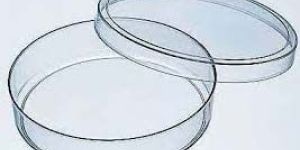 Laboratory Petri Dish
