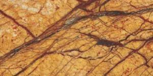 Rainforest Gold Marble Stone