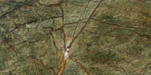 Rainforest Green Marble Stone