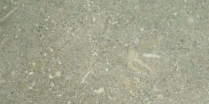 Green Limestone