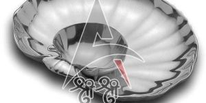 Seashell Serving Platters