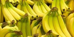 Fresh Cavendish Banana