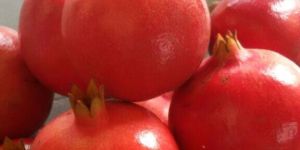 Fresh Pomegranate